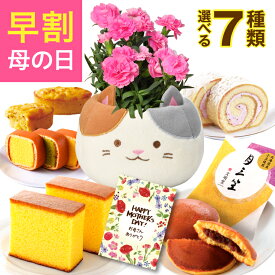 ＼超早割／ 母の日 早割 プレゼント ギフト カーネーション 花 生花 ギフト 鉢植え 花鉢 鉢花 カステラ どら焼き 動物 アニマル 猫 ネコ ねこ 三毛猫 かわいい 人気 母の日ギフト 東北〜関西 送料無料 スイーツ お菓子 洋菓子 ギフトセット 花のギフト社