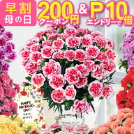 【エントリーでP10倍＆200円クーポン】 母の日 早割 プレゼント ギフト カーネーション 花 生花 ギフト …