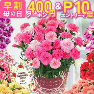 【400円クーポン＆エントリーでP10倍】 母の日 早割 プレゼント ギフト カーネーション 花 生花 ギフト …