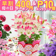【400円クーポン＆エントリーでP10倍】 母の日 早割 プレゼント ギフト 花 生花 ギフト 鉢植え 鉢花 花鉢…