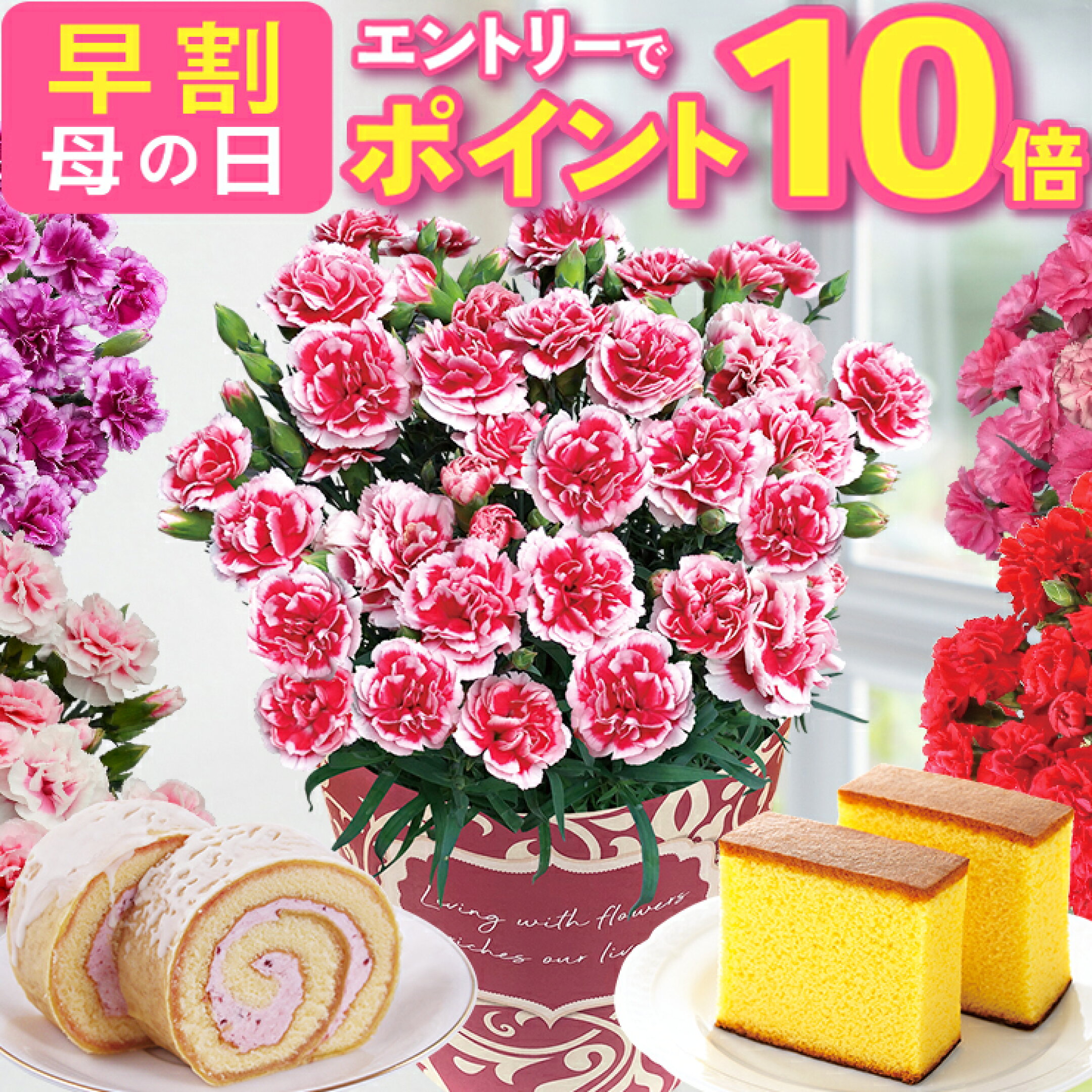 カーネーションとお菓子のセット