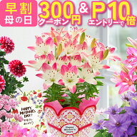 【エントリーでP10倍＆300円クーポン】 母の日 早割 プレゼント ギフト 花 生花 ギフト 鉢植え 鉢花 花鉢…