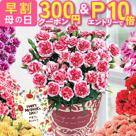 【エントリーでP10倍＆300円クーポン】 母の日 早割 プレゼント ギフト カーネーション 花 生花 ギフト …