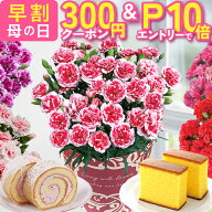 【エントリーでP10倍＆300円クーポン】 母の日 早割 プレゼント ギフト カーネーション 花 生花 ギフト …