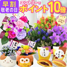 【エントリーでポイント10倍】 早割 敬老の日 プレゼント ギフト 花 秋 鉢植え 花鉢 生花 アレンジメント 敬老 孫 リンドウ カランコエ 白寿 りんどう 敬老の日プレゼント 敬老の日ギフト 送料無料 選べる フラワーギフト ふくろう 三毛猫 かわいい