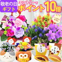 【エントリーでポイント10倍】 敬老の日 ギフト 花 花鉢 スイーツ 花とお菓子 鉢植え 生花 アレンジメント 敬老 プレ…