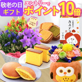 【エントリーでポイント10倍】 敬老の日 ギフト 花 花鉢 スイーツ 花とお菓子 鉢植え 生花 アレンジメント 敬老 プレゼント お菓子 和菓子 洋菓子 文明堂 カステラ どら焼き 孫 敬老の日プレゼント 敬老の日ギフト 送料無料 選べる フラワーギフト ふくろう かわいい