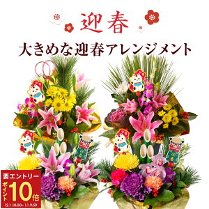 �y�G���g���[��P10�{��1/1 9:59�܂Łz�������� �叼 ������ ���� �A�����W�����g �}�t ���� �� �A�����W�� �������� ���� �u�� ���_�� ������� ���������� �t�����[�A�����W�����g �������̉� 