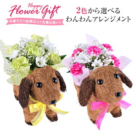 【エントリーでP10倍！6/10まで】 当日発送17時〆 生花 アレンジ 誕生日 お祝い アレンジメント 花 ギフト フラワーギフト プレゼント お誕生日 東北〜関西 送料無料 卒業 入学 開店祝い