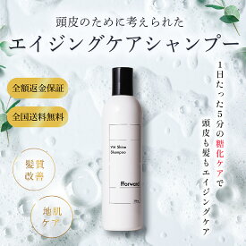 ★楽天ランキング1位★1000円クーポン有 シャンプー トリートメント 頭皮ケア シャンプー 美容室専売 トリートメント エイジング シャンプー サロン専売品 くせ毛 シャンプー 頭皮 フケ かゆみ シャンプー 乾燥 臭い 頭皮老化 糖化ケア フォワード FForward ボトル 各300ml