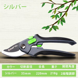 yX[p[SALE100~OFFzz!zoT~  ΂ 2iK߉\ SK85Yf| ϋv ɂlԍHwfUC }؂oT~ |nT~ |p͂ Kтɂ J