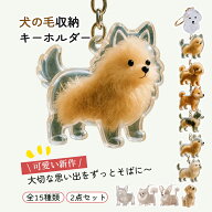 ＼一部即納！1点最安640円・2点購入で／犬 毛 キーホルダー 犬の毛収納キーホルダー 犬の毛収納ボトル ペ…
