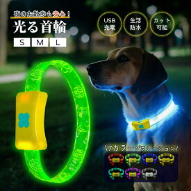 光る 首輪 犬 レインボー ペット 夜 散歩 発光 点滅 USB 充電式 生活防水 柔らかい材質 首輪 ライト ペット 充電 小型犬 中型犬 大型犬 犬用品 ドッググッズ 安全 夜の散歩 ひかる 安全 事故防止 自転車 リード 点灯 カラフル