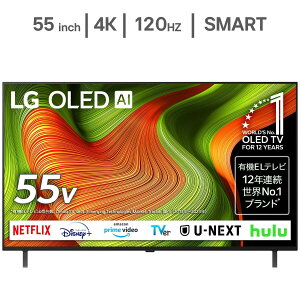 LG 55�C���` 4K�L�@EL�e���r OLED55B5PJA