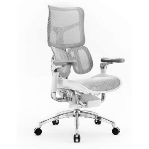 SIHOO DORO S300 �I�t�B�X�`�F�A