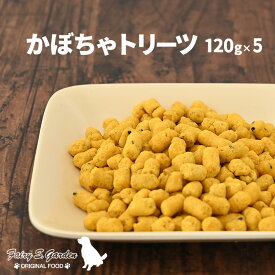 ＜小麦・卵不使用＞国産 無添加 かぼちゃトリーツ 120g×5 まとめ買い 犬用 おやつ 工場直送 手作り 携帯に便利 ヒューマングレード フェアリーエスガーデン