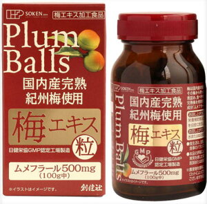 �����Y���n�I�B�~100���~�G�L�X��