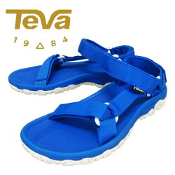 TEVA1013788
