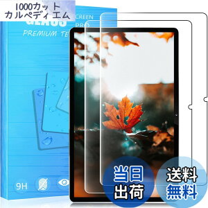 �y���������z�y2���Z�b��p�K���X�ی�z�Ή� Lenovo Tab P11 Pro (2nd Gen) 2022�N���� �^�u���b�g ZAB50181JP 11.2�C���` �p�̃K���X�t�B���� �d�x9H ���{���f�ވ��Ɏq�� ���^0.33mm ��U�h�~ ������ �ϏՌ�