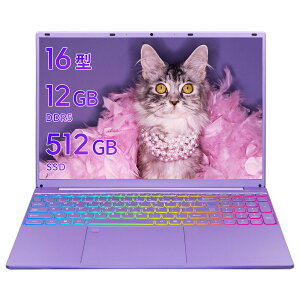 yzSERYUB 16^  m[gp\R/1920*1200 IPSt/CeŐ[CPU Alder Lake-N N95/Windows11 & Office2019 ݒsv/4mmx[/180x]\ /12GSSD/SҌV