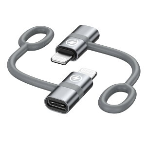 RAVIAD Type C to CgjO ϊA_v^ (2Zbg) 36W PD}[d PD`bv f[^] USB-C i-Phone ϊRlN^ A~O VRoh݌v ^CvCiOSϊRlN^ iOS U
