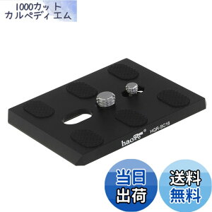 �y���������zHaoge HQR-SC16 �J���� QR �N�C�b�N�����[�X�v���[�g Sachtler DV 12 DV 15 �L���f�B �r�f�I 18/20 �p�m���}�v���X �z���C�]�� �v���X �r�f�I 25 Plus �r�f�I 18 �_�b�`�O�r ���̃w�b�h���� �^�b