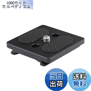 �y���������zCAMVATE �݊����̂���DSLR�J�����P�[�W�p�N�C�b�N�����[�X�v���[�g�X���C�h�}�E���g