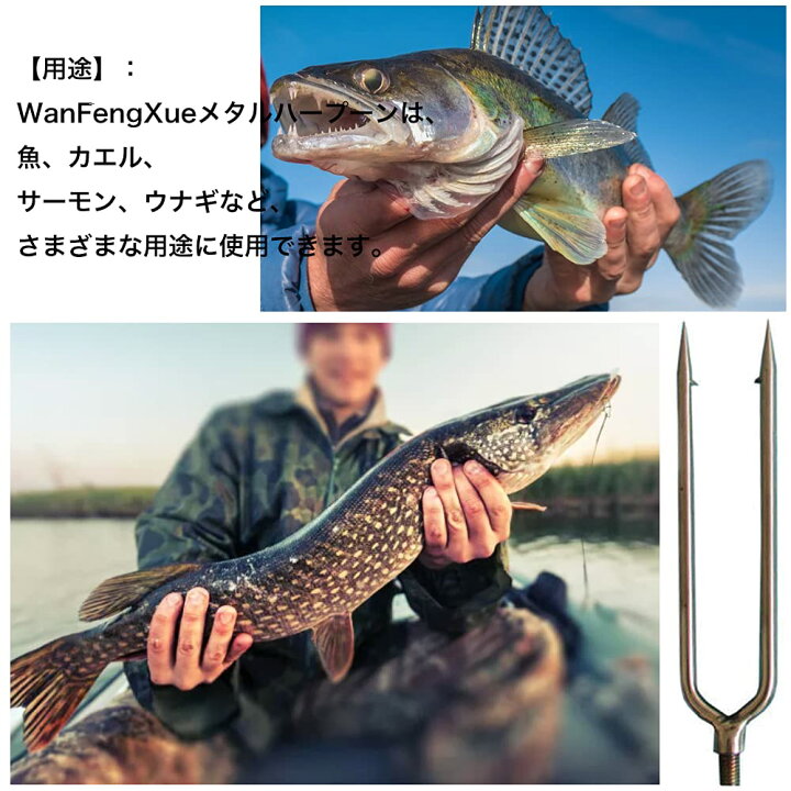 楽天市場】3枚入 銛 WanFengXue ステンレス鋼釣り槍 銛先 長さ17cm 