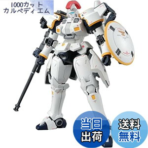 �y���������zMG �V�@����L�K���_��W Endless Waltz �g�[���M�XI EW 1/100�X�P�[�� �F�����ς݃v�����f��