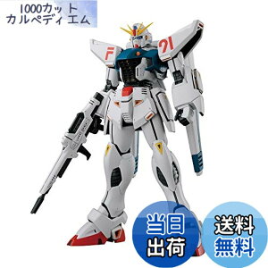 �y���������zMG �@����m�K���_��F91 �K���_��F91Ver.2.0 1/100�X�P�[�� �F�����ς݃v�����f��