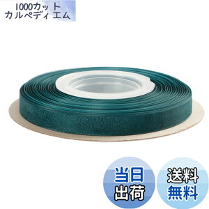 �y���������zITIsparkle �I�[�K���W�[���{�� ��9mmx45M�� ��| ���� ���b�s���O ���傤���� ���{�� #347-�e�B�[��