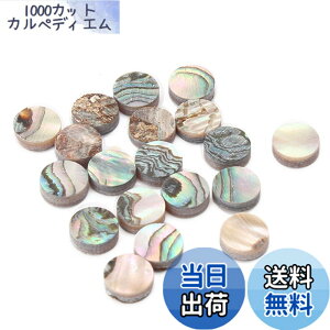 �y���������zYibuy 20 pieces Multicolor Abalone Inlay Material Dots 6mm �M�^�[�p�[�c