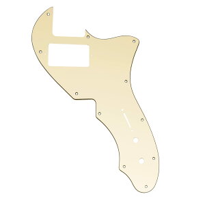 yzMusiclily Pro 11 eLX^[sbNK[h 1n}EgdlFender American 1969 Tele ThinlineGLM^[pAN[3P