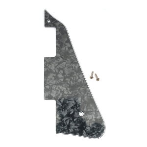 yzMusiclily Pro X|[sbNK[h Mu\USA LP _GLM^[pA4PubNp[