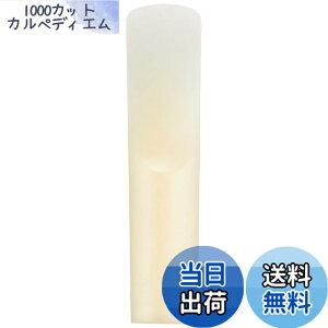 �y���������z���}�n Venova��p���������[�h �����p YVS-100REED