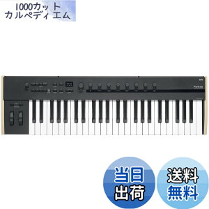 �y���������zKORG �R���O �|���E�A�t�^�[�^�b�` MIDI�R���g���[���[ Keystage-49 MIDI2.0 �v���p�e�B �G�N�X�`�F���W ����