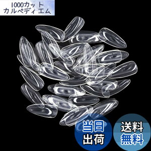 �y���������z�l�C���`�b�v MUNCVY �܌^���� �N���A �l�C���p�i 10�T�C�Y ���n �f�R���[�V���� �����O���t���� ���K�p �|�C���e�b�h �V���[�v �܂Ƀs�b�^�� ���� �l�C���A�[�g 600������ ����
