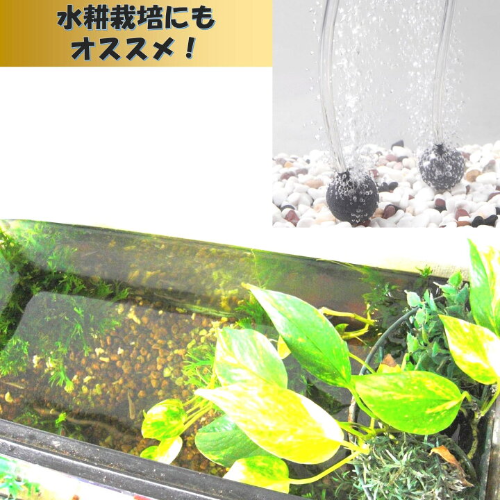 楽天市場】EXDUCT エアーストーン 直径4cm 20個 いぶきエアストーン 