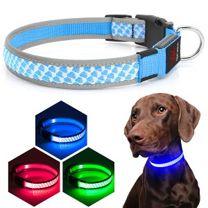 yzKpuplol LED   Cg U q  pP ^A^A^p ybgpiTPUޗ[500m悩ڎ\] ybg  S h X[ ~fBA 