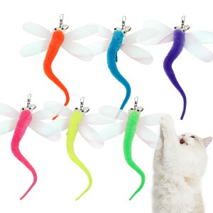 yzSONGWAY ˂ g{ L炵 ˂炵x L  6_ԃg{ p