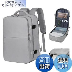 �y���������z[OFAMOUS] ��e�ʃ����b�N �r�W�l�X�����b�N 30L ���f�B�[�X �����Y ���s �V���b�Y���[ 15�C���`PC �h�� �����b�N�T�b�N �L�����[�I���Ή� �������H �o�� ���s�o�b�O USB�|�[�g�t�� 