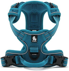 yzcocomall pn[lX p hbO ybgpi n[lX 3Mˍޗ P iC ^A^A^Ɍ ʋC ߉\ (S, Cu[)