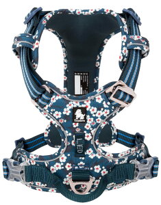 yzcocomall 2020V^ pn[lX p hbO ybgpi n[lX 3Mˍޗ P iC ^A^A^Ɍ ʋC ߉\ (L, Saxony Blue)