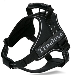 yzcocomall 2WAYAɗDn[lX Sypn[lX TRUE LOVE{X p hbO ybgpi n[lX[h 3Mˍޗ P iCf ^A^A^