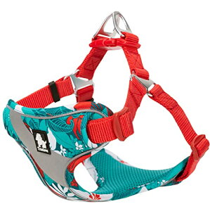 yzcocomall Sypn[lX p hbO ybgpi n[lX[h 3Mˍޗ P iC ^A^A^Ɍ ʋC ߉\ (L, blue&red)