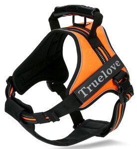 yzcocomall 2WAYAɗDn[lX Sypn[lX TRUE LOVE{X p hbO ybgpi n[lX[h 3Mˍޗ P iCf ^A^A^