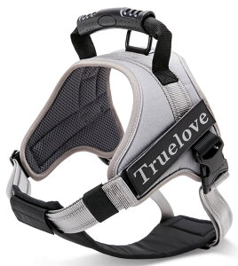 yzcocomall 2WAYAɗDn[lX Sypn[lX TRUE LOVE{X p hbO ybgpi n[lX[h 3Mˍޗ P iCf ^A^A^