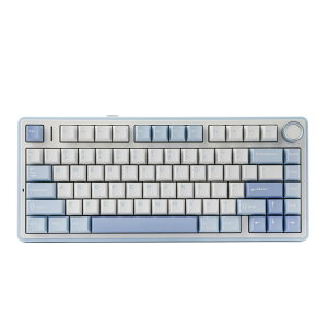 yzEPOMAKER x Aula F75 Q[~OL[{[h KXPbg JjJL[{[h 5wpbhmut 75% CX zbgXbpu Bluetooth/2.4GHz/USB-C RGB ZKF؎擾 (Sea Salt Blue, L