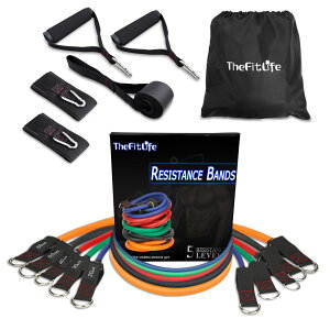 yzTheFitLife g[jO`[u `[u g[jO ؃g`[u (////)