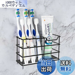 �y���������zLinkidea ���u���V�z���_�[ �V�����[�A�o�X���[���p�A�X�e�����X�X�`�[�������u���V���[�X�^���h���b�N�A�Ǌ|��/�J�E���^�[�g�b�v 7 �X���b�g�I�[�K�i�C�U�[ Colgate Extra Clean�AOra